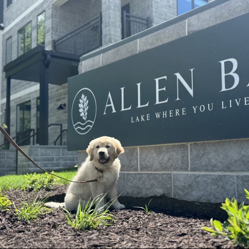puppy in front of Allen Bay